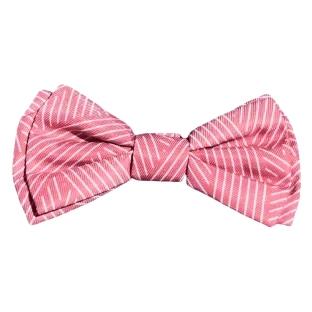 Papillon per cani FuzzYard Thornbury Brick Red con velcro