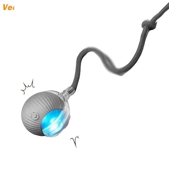 Pelota automática con cola para perros, recargable por USB, gris - ZONLIDOOG