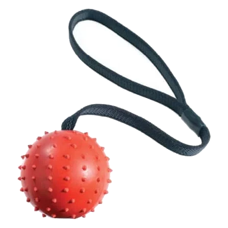 Palla con corda Classic Pimple Ball & Rope per cani, 70 mm