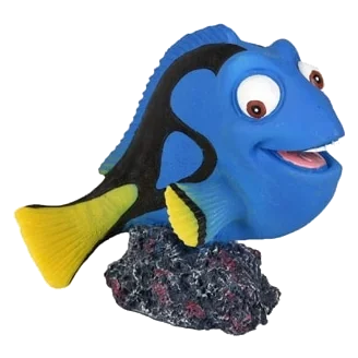 Pesce chirurgo decorazione acquario