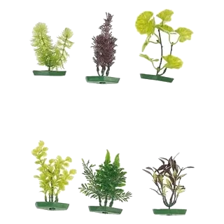 Piante per acquario piccole assortite, 10 cm, 6 pezzi