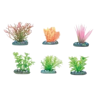 Piante per acquario piccole assortite, 5 cm, 6 pezzi