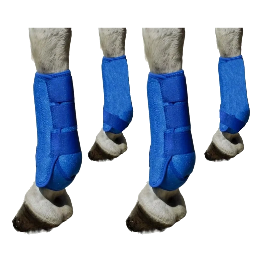 Set da 4 paratendini blu per cavallo