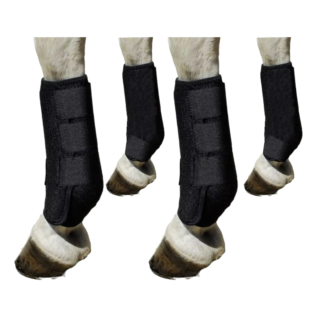 Set da 4 paratendini neri per cavallo