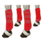 Set da 4 paratendini rossi per cavallo