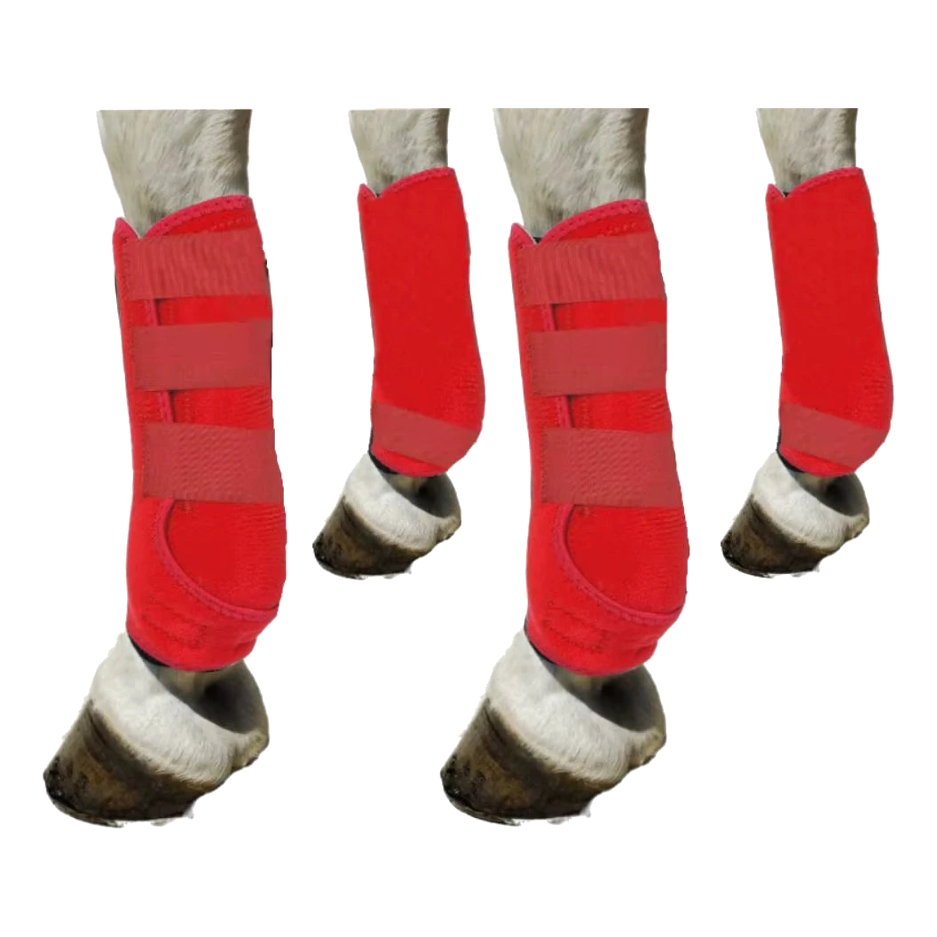 Set da 4 paratendini rossi per cavallo