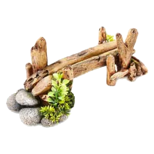Ponte di bambù con piante decorazione acquario