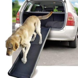 Rampa per cani Gentle Step