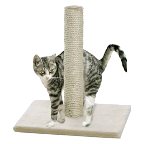 Tiragraffi Lisa per gatti, beige