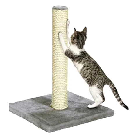 Tiragraffi Polset per gatti, grigio