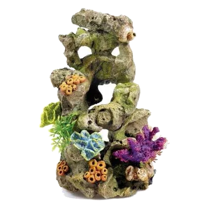 Rocce e piante decorazione acquario