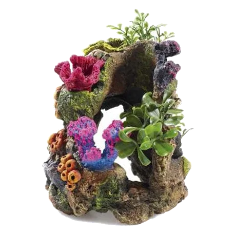 Rocce e piante decorazione acquario