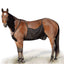 Coperta antimosche in rete traspirante per cavallo – vista 2