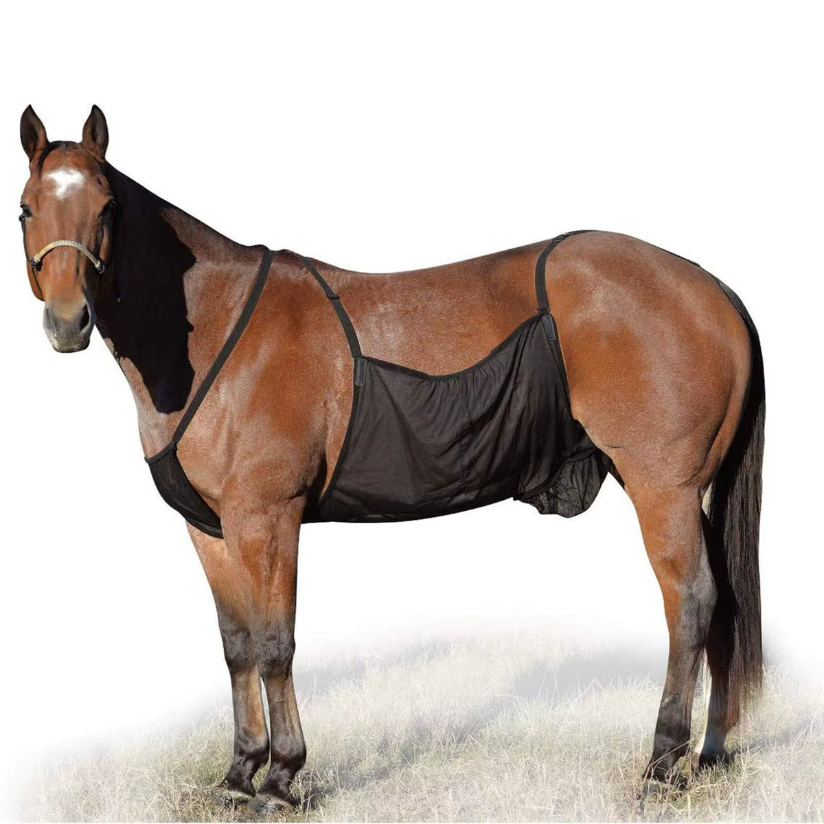 Coperta antimosche in rete traspirante per cavallo – vista 2