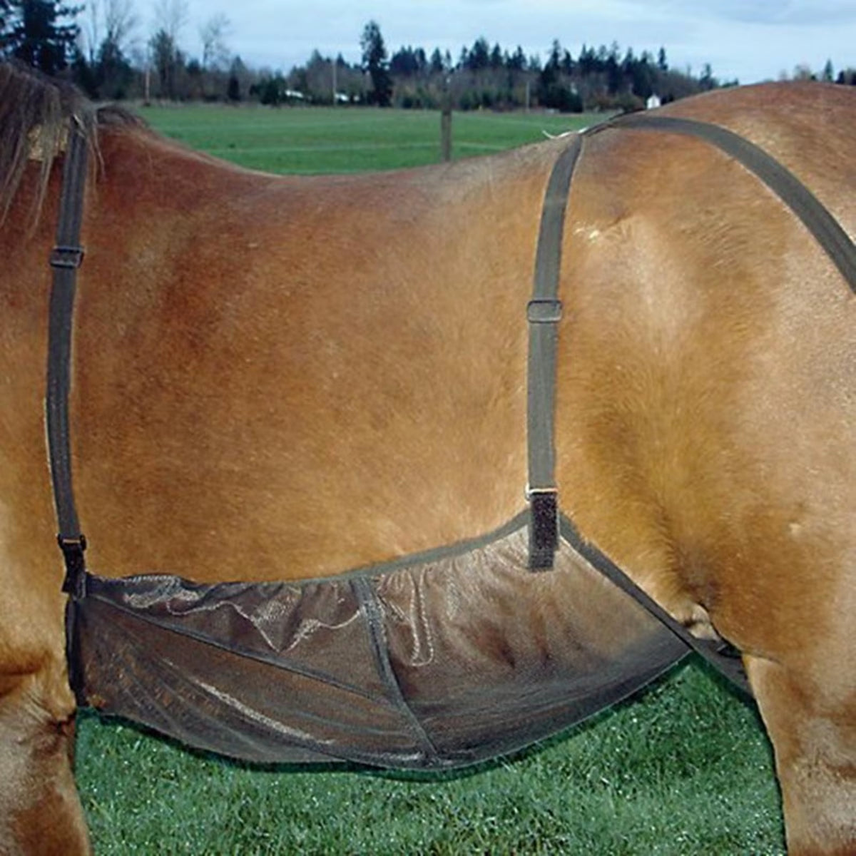 Coperta antimosche in rete traspirante per cavallo – vista 3