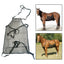Coperta antimosche in rete traspirante per cavallo – vista 5