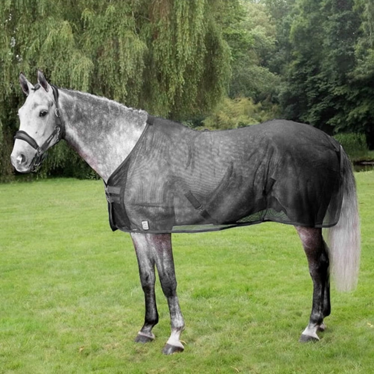 Coperta antimosche in rete rinforzata con protezione UV – vista 4