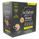 Schesir After Dark confezione mista Velvet mousse per gatti