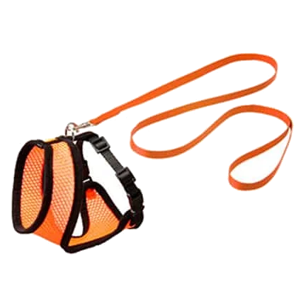 Set pettorina e guinzaglio per gattini, arancione e nero, 110 cm, 10 mm, taglia S