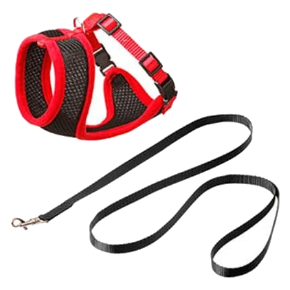 Set pettorina e guinzaglio per gattini, nero e rosso, 110 cm, 10 mm, taglia S