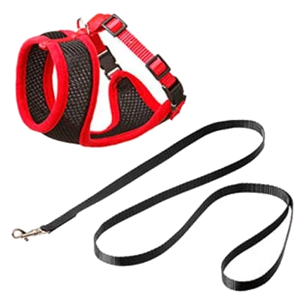 Set pettorina e guinzaglio per gatti, nero e rosso, 120 cm, 15 mm, taglia L