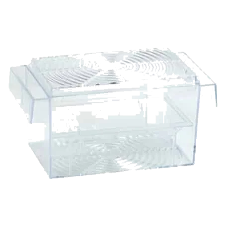 Vasca quadrata per guppy