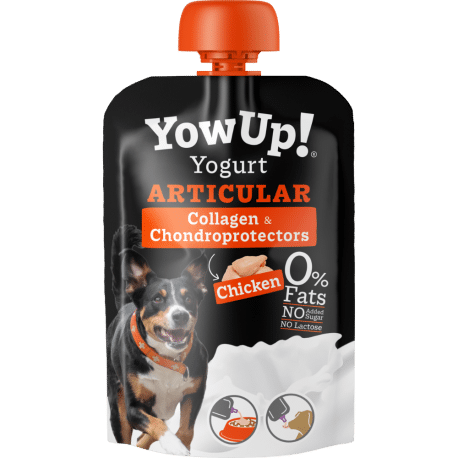 Yogurt YowUp articolazioni con collagene