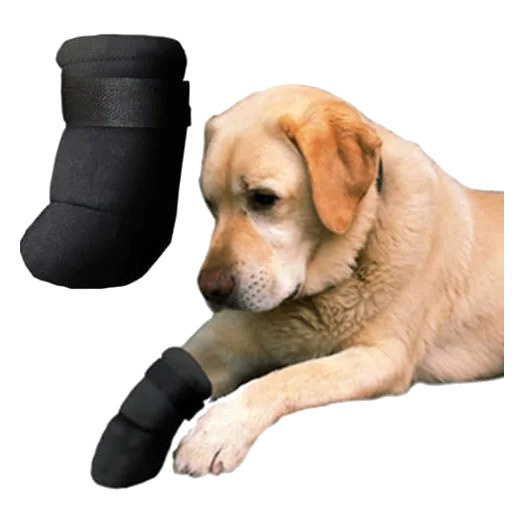 Scarpette in neoprene per cani